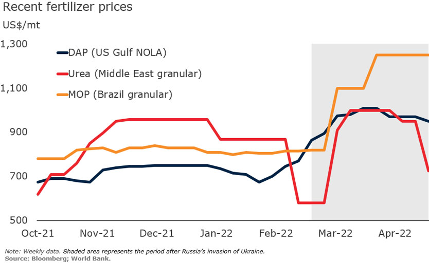 Fertilizer prices expected to remain higher for longer H2Gro